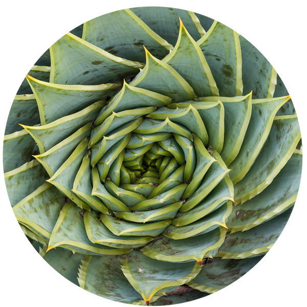 The Benefits of Natural Skincare