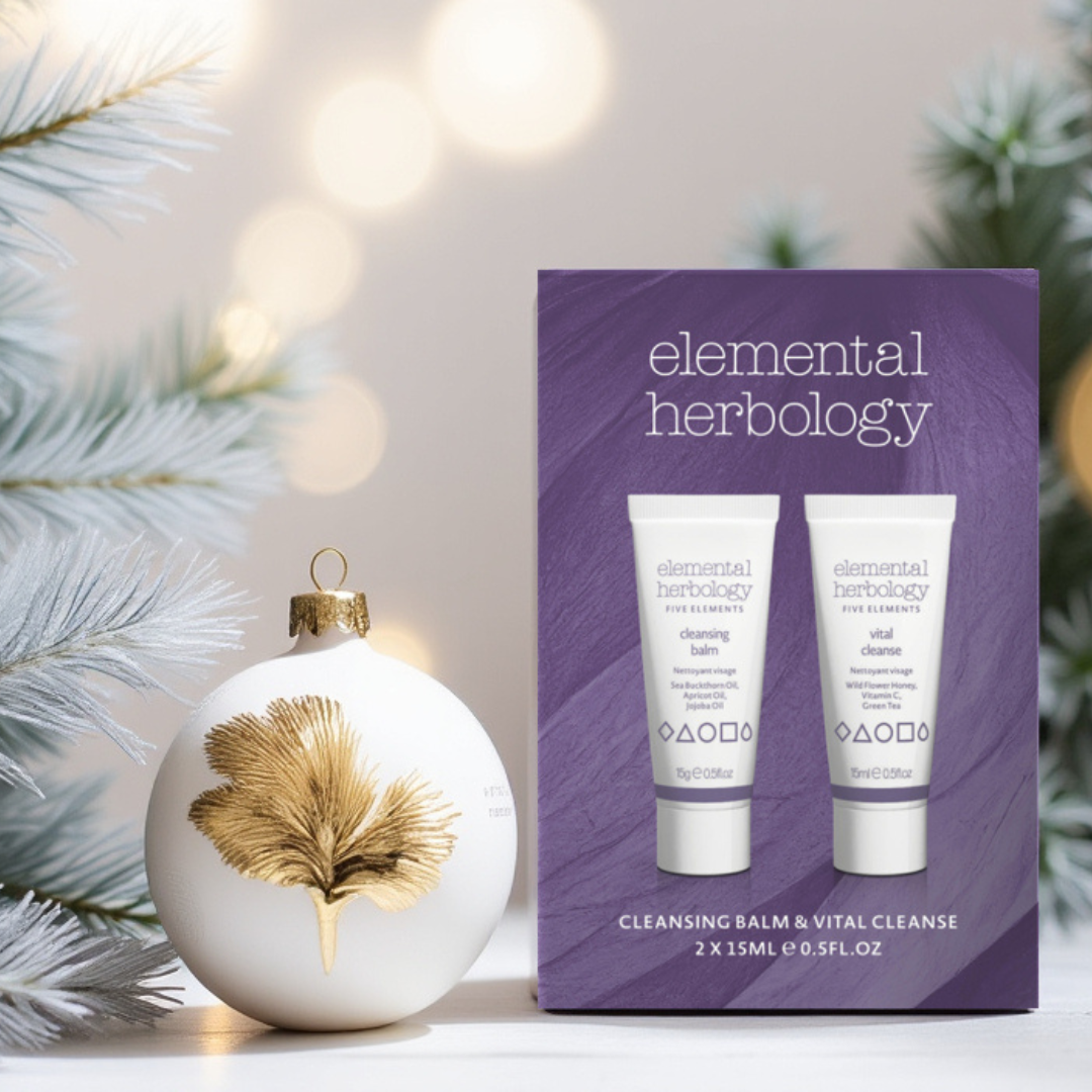 Five Elements Cleansing Duo Mini Kit