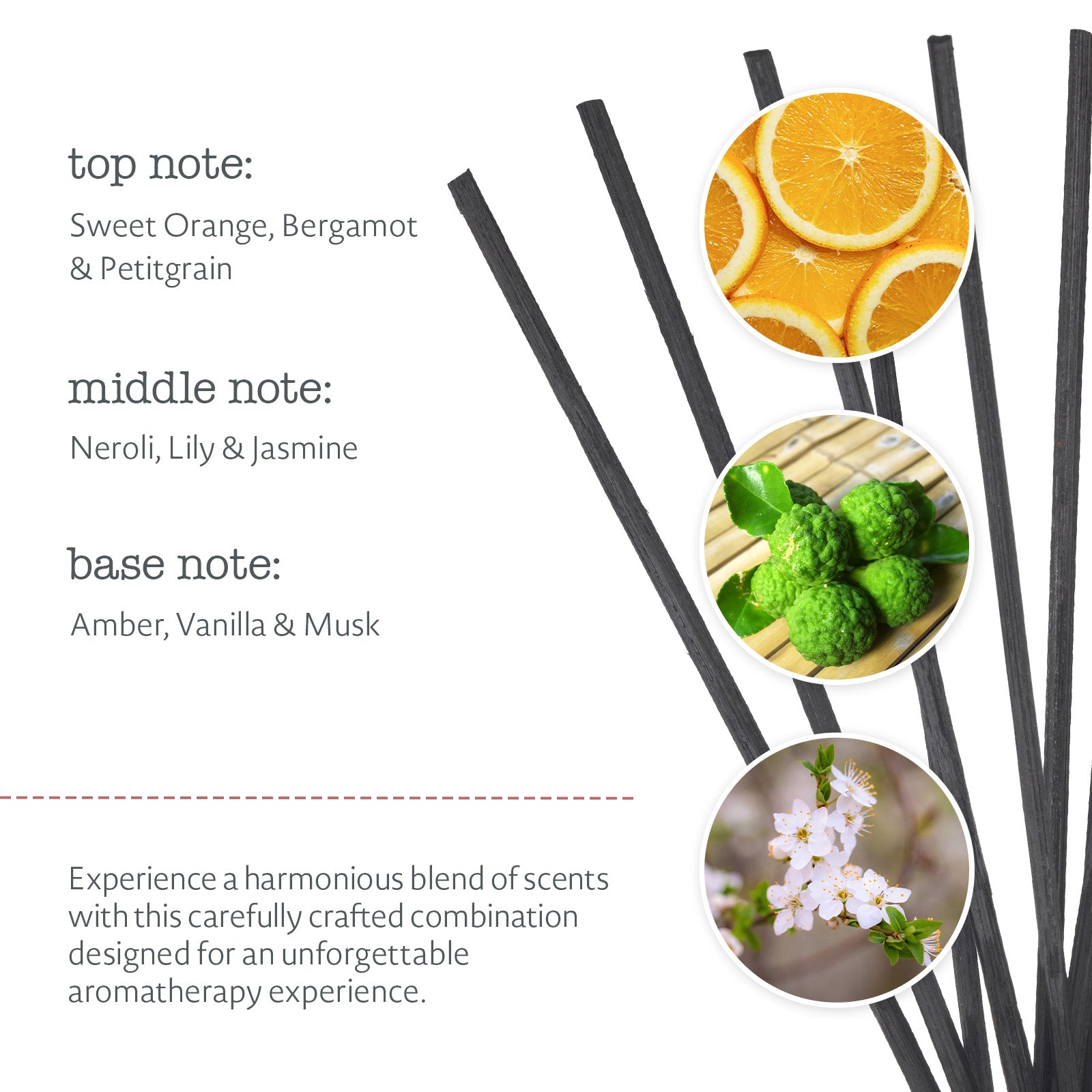Zest Reed Diffuser Refill